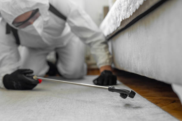Professional Bed Bug Control technician working in East Brewton, AL