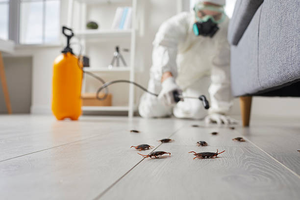 Trusted Termite Control service in East Brewton, AL - Nex Pest Control