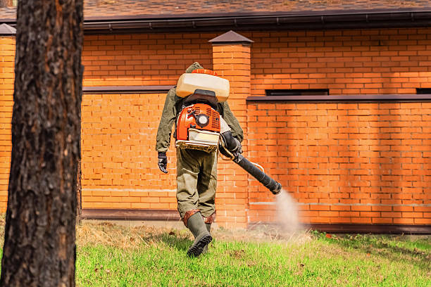 Trusted Bed Bug Control service in East Brewton, AL - Nex Pest Control